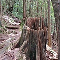20240706_105527.jpg