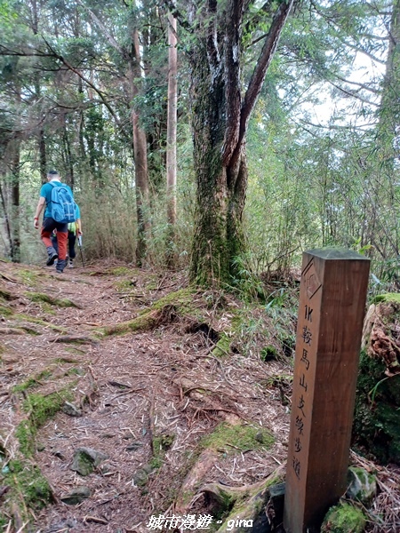 【台中和平】稍來小雪山國家步道~