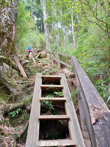 【台中和平】稍來小雪山國家步道~