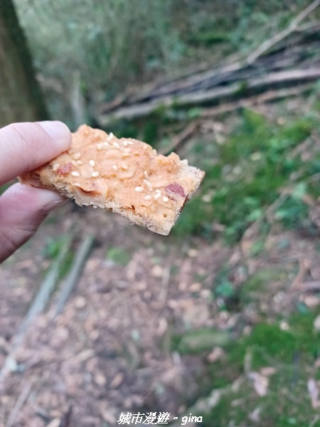 【台中和平】稍來小雪山國家步道~