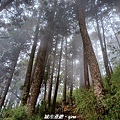 20240706_113247.jpg