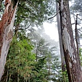20240706_113129.jpg