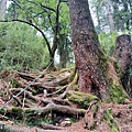 20240706_113420.jpg