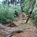 20240706_113915.jpg
