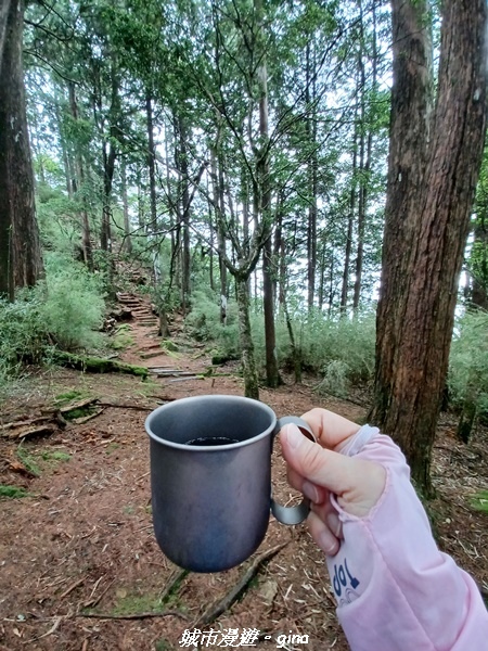 【台中和平】稍來小雪山國家步道~
