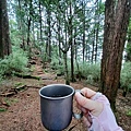 20240706_114415.jpg