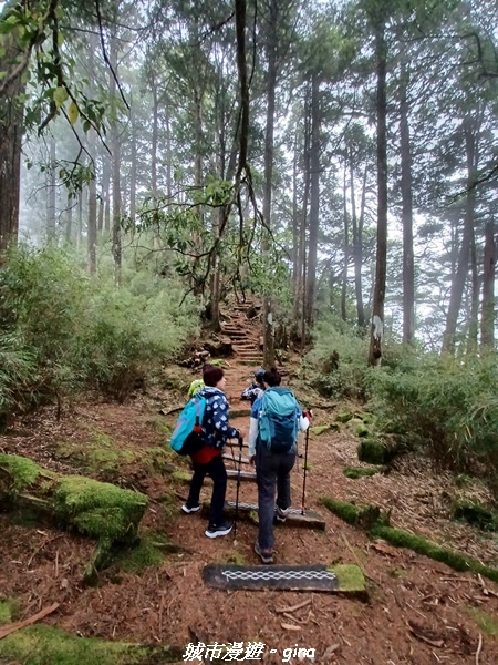【台中和平】稍來小雪山國家步道~