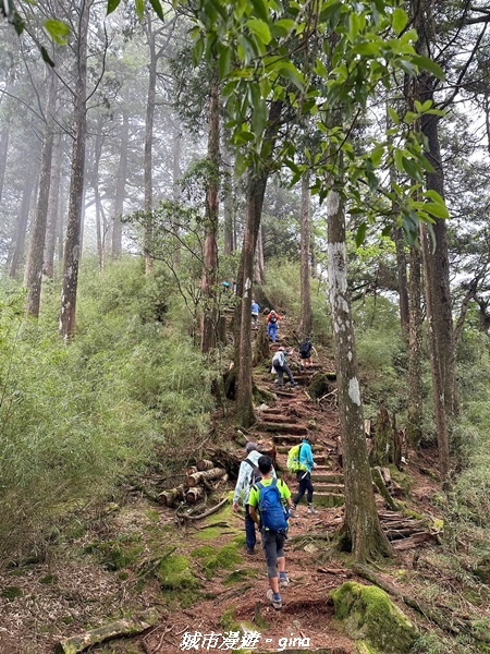 【台中和平】稍來小雪山國家步道~