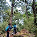 20240706_124354.jpg