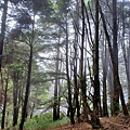 20240706_125125.jpg