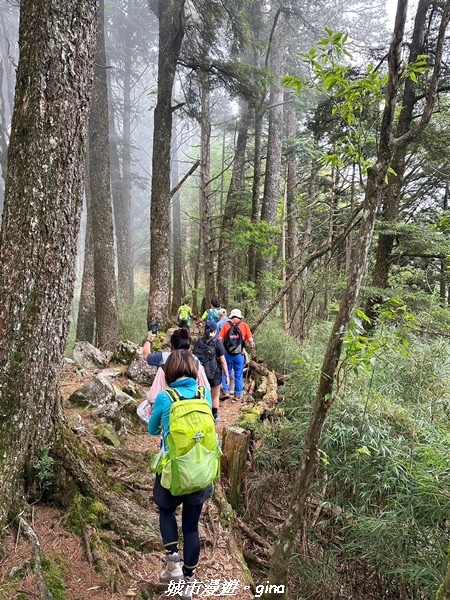【台中和平】稍來小雪山國家步道~