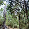 20240706_132259.jpg