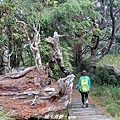 20240706_130124.jpg