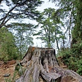 20240706_132331.jpg
