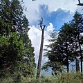 20240706_132759.jpg