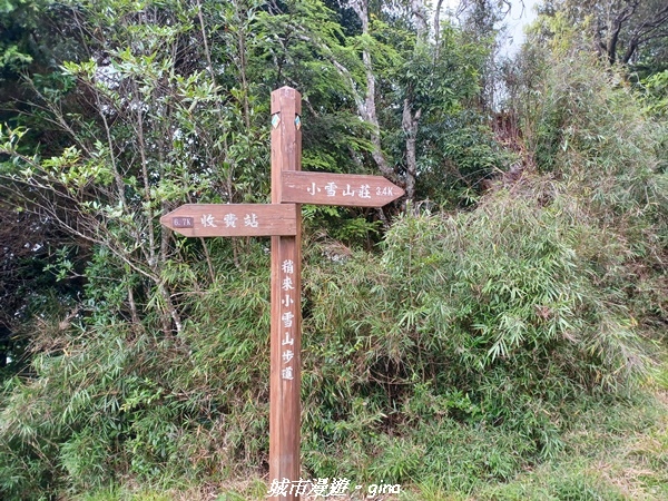 【台中和平】稍來小雪山國家步道~