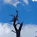 20240706_132845.jpg