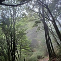 20240706_135210.jpg