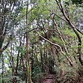 20240706_135438.jpg