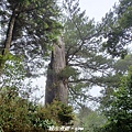 20240706_135259.jpg