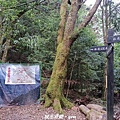 20240706_144528.jpg