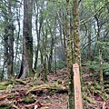 20240706_143256.jpg