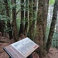 20240706_145709.jpg