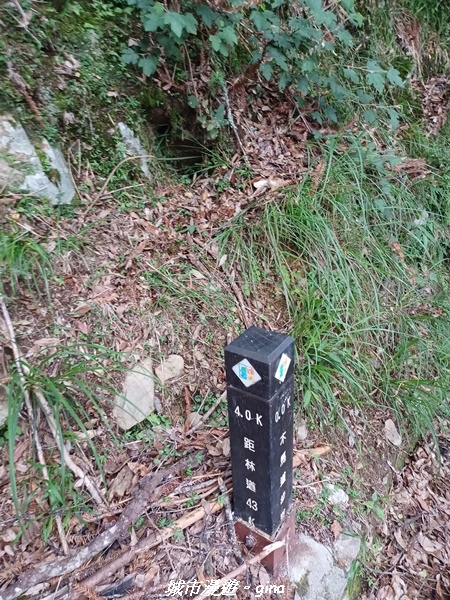 【台中和平】稍來小雪山國家步道~