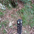 20240706_150235.jpg