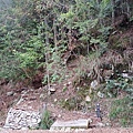 20240706_150341.jpg