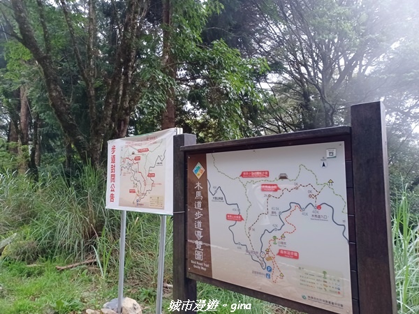 【台中和平】稍來小雪山國家步道~