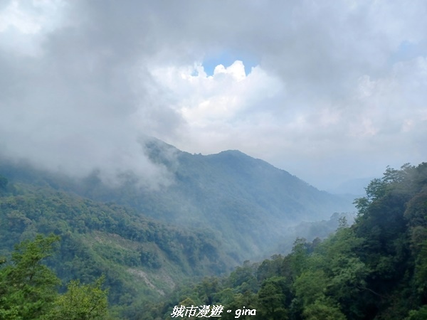 【台中和平】稍來小雪山國家步道~