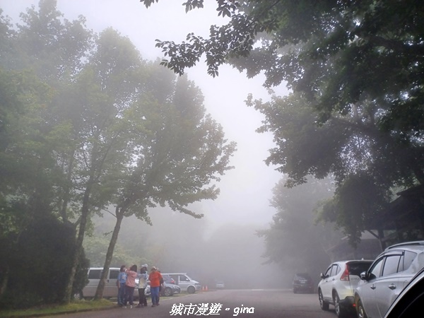 【台中和平】稍來小雪山國家步道~