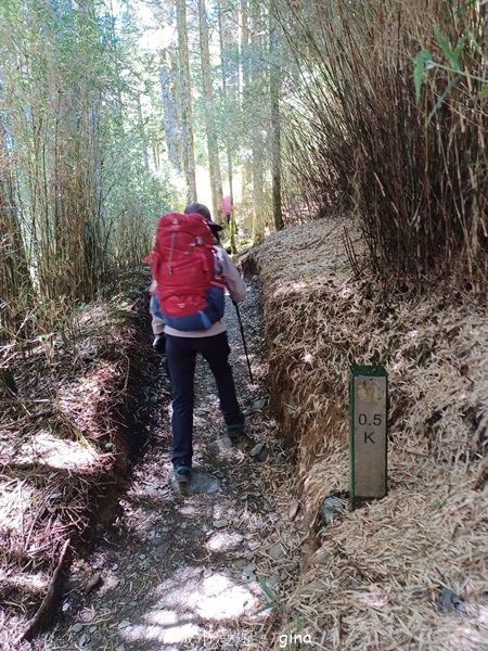 【南投仁愛】跟著我去旅行~-No16百岳奇萊北峰xNo21奇 【南投仁愛】跟著我去旅行~-No16百岳奇萊北峰xNo21奇