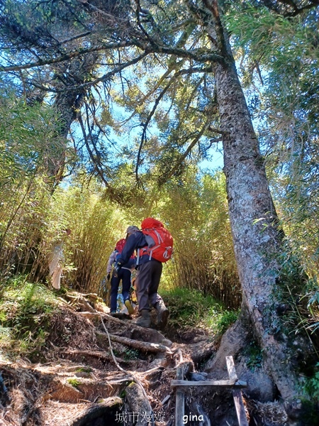 【南投仁愛】跟著我去旅行~-No16百岳奇萊北峰xNo21奇 【南投仁愛】跟著我去旅行~-No16百岳奇萊北峰xNo21奇