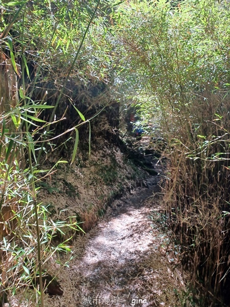 【南投仁愛】跟著我去旅行~-No16百岳奇萊北峰xNo21奇 【南投仁愛】跟著我去旅行~-No16百岳奇萊北峰xNo21奇