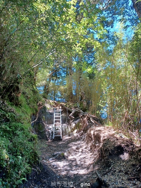 【南投仁愛】跟著我去旅行~-No16百岳奇萊北峰xNo21奇 【南投仁愛】跟著我去旅行~-No16百岳奇萊北峰xNo21奇