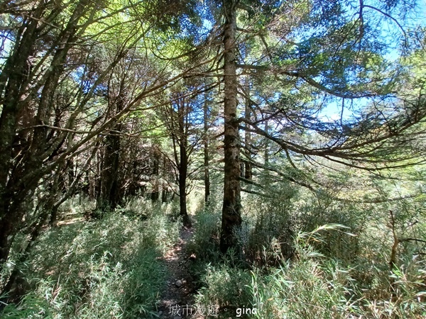 【南投仁愛】跟著我去旅行~-No16百岳奇萊北峰xNo21奇 【南投仁愛】跟著我去旅行~-No16百岳奇萊北峰xNo21奇