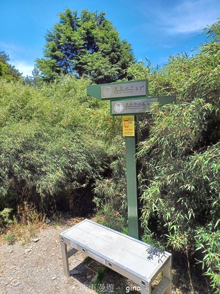 【南投仁愛】跟著我去旅行~-No16百岳奇萊北峰xNo21奇 【南投仁愛】跟著我去旅行~-No16百岳奇萊北峰xNo21奇