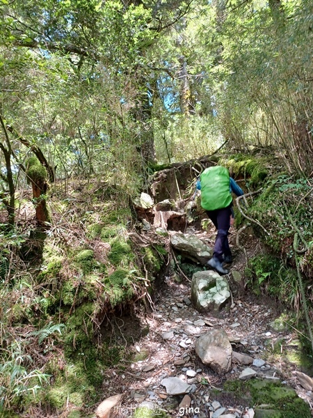 【南投仁愛】跟著我去旅行~-No16百岳奇萊北峰xNo21奇 【南投仁愛】跟著我去旅行~-No16百岳奇萊北峰xNo21奇