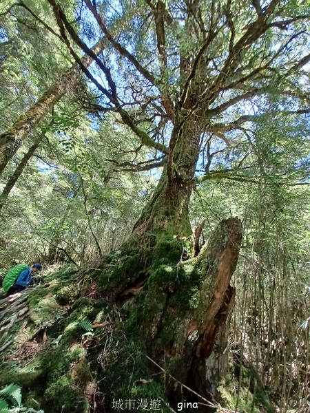【南投仁愛】跟著我去旅行~-No16百岳奇萊北峰xNo21奇 【南投仁愛】跟著我去旅行~-No16百岳奇萊北峰xNo21奇