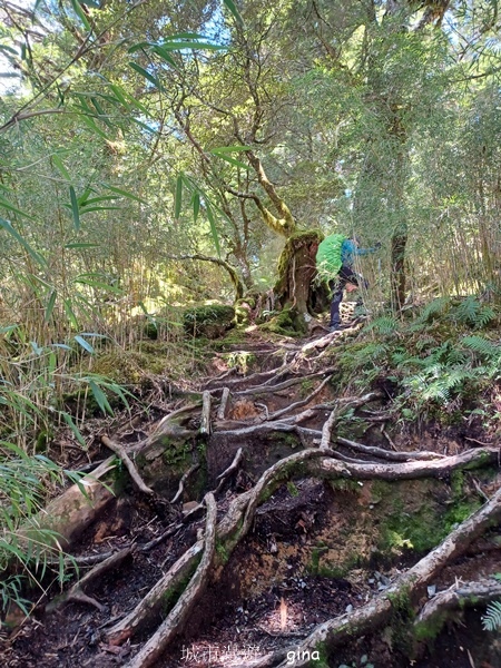 【南投仁愛】跟著我去旅行~-No16百岳奇萊北峰xNo21奇 【南投仁愛】跟著我去旅行~-No16百岳奇萊北峰xNo21奇