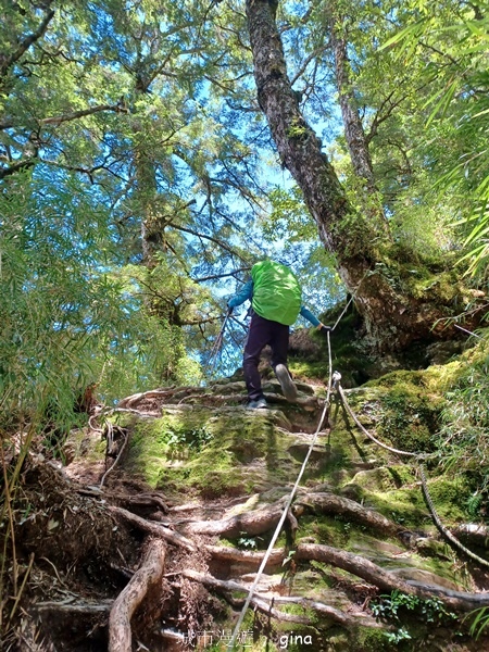 【南投仁愛】跟著我去旅行~-No16百岳奇萊北峰xNo21奇 【南投仁愛】跟著我去旅行~-No16百岳奇萊北峰xNo21奇