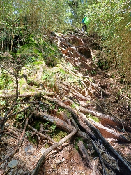 【南投仁愛】跟著我去旅行~-No16百岳奇萊北峰xNo21奇 【南投仁愛】跟著我去旅行~-No16百岳奇萊北峰xNo21奇