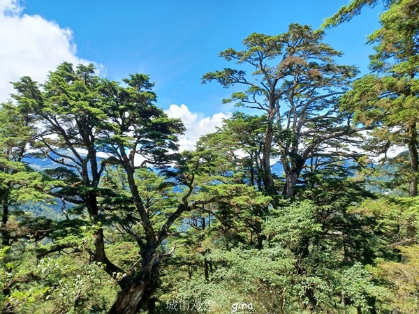 【南投仁愛】跟著我去旅行~-No16百岳奇萊北峰xNo21奇 【南投仁愛】跟著我去旅行~-No16百岳奇萊北峰xNo21奇