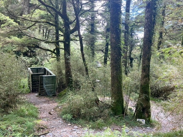 【南投仁愛】跟著我去旅行~-No16百岳奇萊北峰xNo21奇 【南投仁愛】跟著我去旅行~-No16百岳奇萊北峰xNo21奇