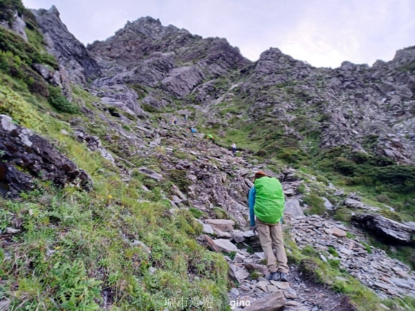 【南投仁愛】跟著我去旅行~-No16百岳奇萊北峰xNo21奇 【南投仁愛】跟著我去旅行~-No16百岳奇萊北峰xNo21奇