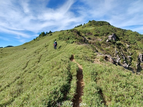 【南投仁愛】跟著我去旅行~-No16百岳奇萊北峰xNo21奇 【南投仁愛】跟著我去旅行~-No16百岳奇萊北峰xNo21奇
