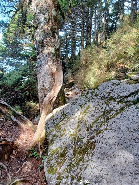 【南投仁愛】跟著我去旅行~-No16百岳奇萊北峰xNo21奇 【南投仁愛】跟著我去旅行~-No16百岳奇萊北峰xNo21奇