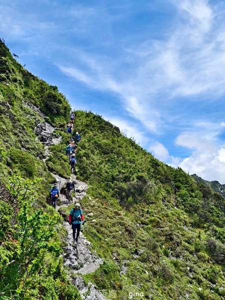 【南投仁愛】跟著我去旅行~-No16百岳奇萊北峰xNo21奇 【南投仁愛】跟著我去旅行~-No16百岳奇萊北峰xNo21奇